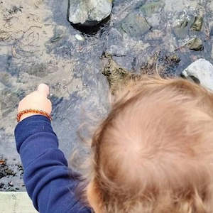 Baltic Amber Ankle/Wrist Bracelet - Baby