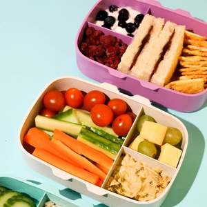 Lunch Boxes: Hungry Ruru WheatBox JR Bento Box