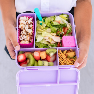 Lunch Boxes: Montii Bento PLUS Lunch Box