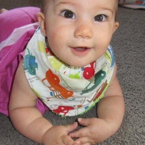 Products: Casserole Carrier – LittleKiwisCloset