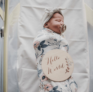 Wall Hangings: Hello World Plaque | Funny Bunny Kids