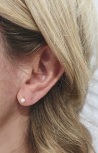 The Girl with the Pearl - little macaron