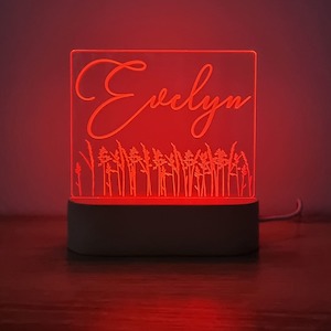 Night Lights: Night Light Wild Flower Personalised Name