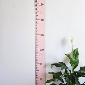 Sectional Height Chart Painted