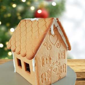 Large Gingerbread House Cookie Cutter Set