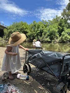 Products: Foldable Beach Wagon with Big Wheels