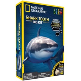 Stocking Fillers: National Geographic Shark Tooth Dig Kit