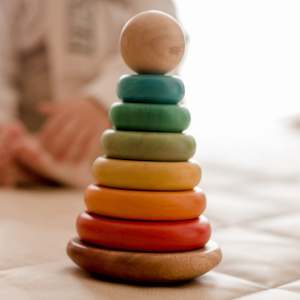Stacking Sorting: Q Toys Bouncing Stacking Rings