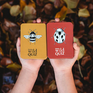 Your Wild Books: Your Wild Quiz Card Game
