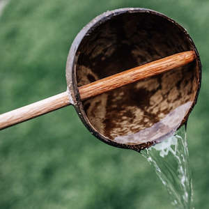 Bath Toys: Q Toys Coconut Water Scoop