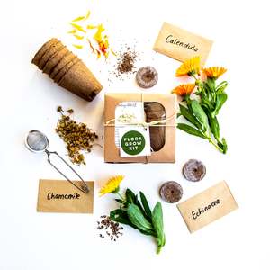 Flora The Healing Herb Kit