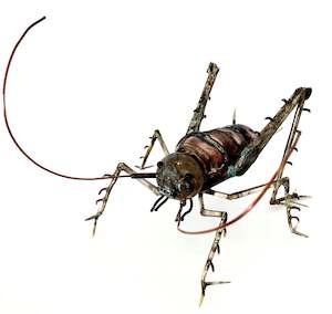 Martin Cole: Giant Weta
