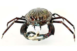 Martin Cole: Crab