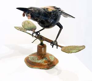 Martin Cole: Tieke (Saddle Back)