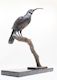 Huia