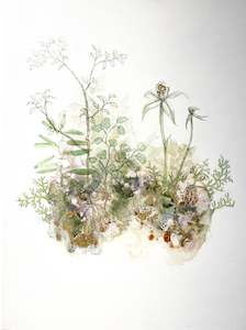 Rebecca Smallridge: Forest Orchid