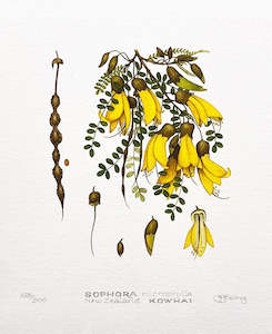 Jo Ewing: Kowhai Print
