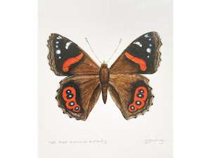 Jo Ewing: NZ Red Admiral Print