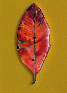 Lester Hall: Passing On