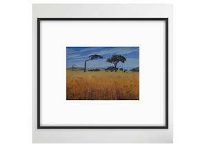 Midsummer, Menzies Bay Framed