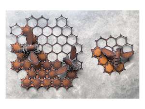 Jane Downes: Honeycomb & small bees