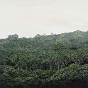 Sara Langdon: O te Ngahere