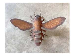 Jane Downes: Wee Bee