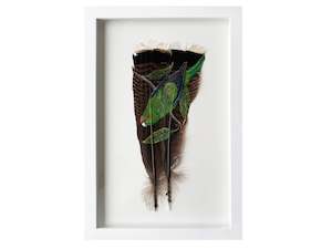 Kakariki - Red Crowned Parakeet