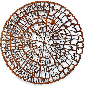 Tree Ring Study Large