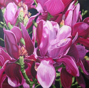 Kerry Fenton Johns: Magnolia