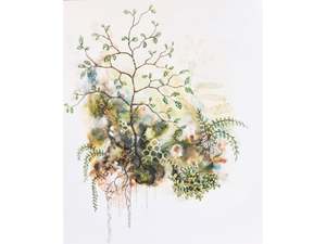 Putaputāwētā  ecosystem