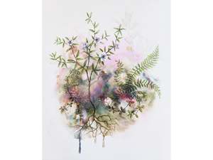 Rebecca Smallridge: Mānuka Magic