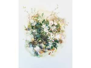 Puawānanga – Stars of the Forest