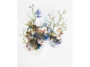 Rebecca Smallridge: Māikuku - Swamp sun orchid