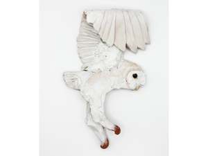 Owl single flapping wing