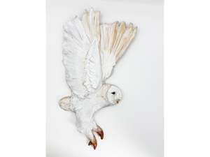 Kylie J Matheson: Owl double wing ascent