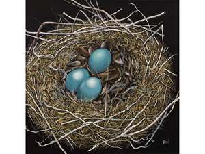 Beverley Frost: Lost & Found