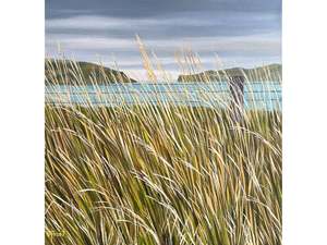Beverley Frost: Southerly passing
