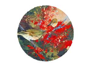 Janie Porter: Tauhou Silvereye