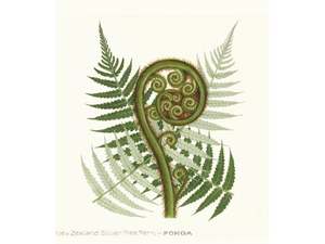 Jo Ewing: NZ Fern Frond Print