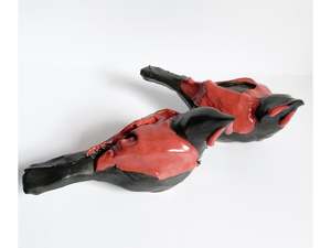 Kylie Matheson: Hand Held Saddleback