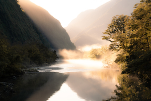Arthur River Morning Mist
