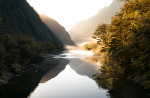 Arthur River Reflections