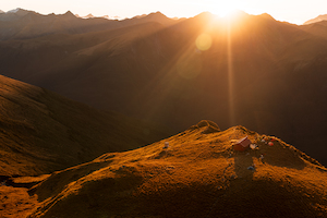 Products: Brewster Hut Golden Rays