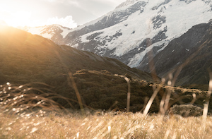 Products: Evening Glow – Hooker Valley