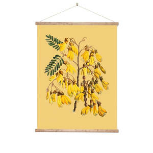 Vintage Botannical Kowhai Wall Chart
