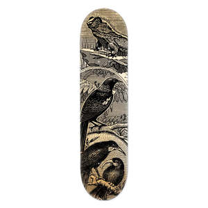 Tuatara Tui & Huia Skate Deck Art