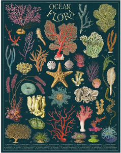 Books: Cavallini Ocean Flora 1000 Piece Puzzle