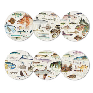 Coasters: Fishes of NZ Coasters Boxed Set