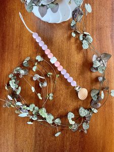 Products: Dummy Clip-Elly - Little Roo